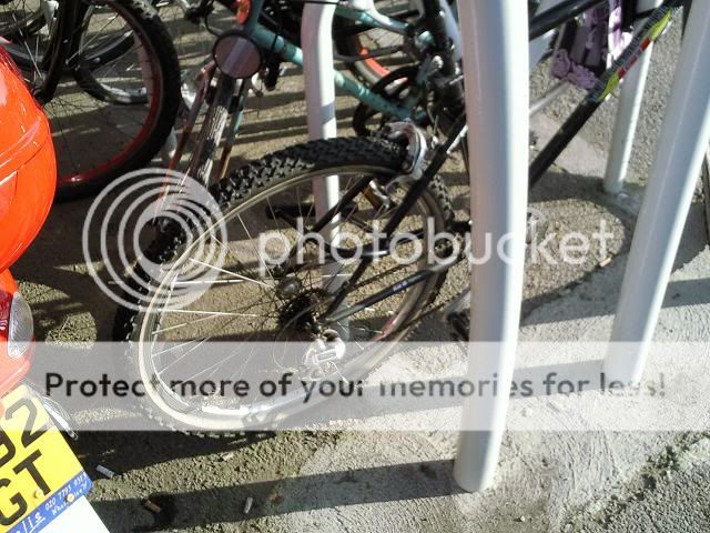 Photo008B.jpg