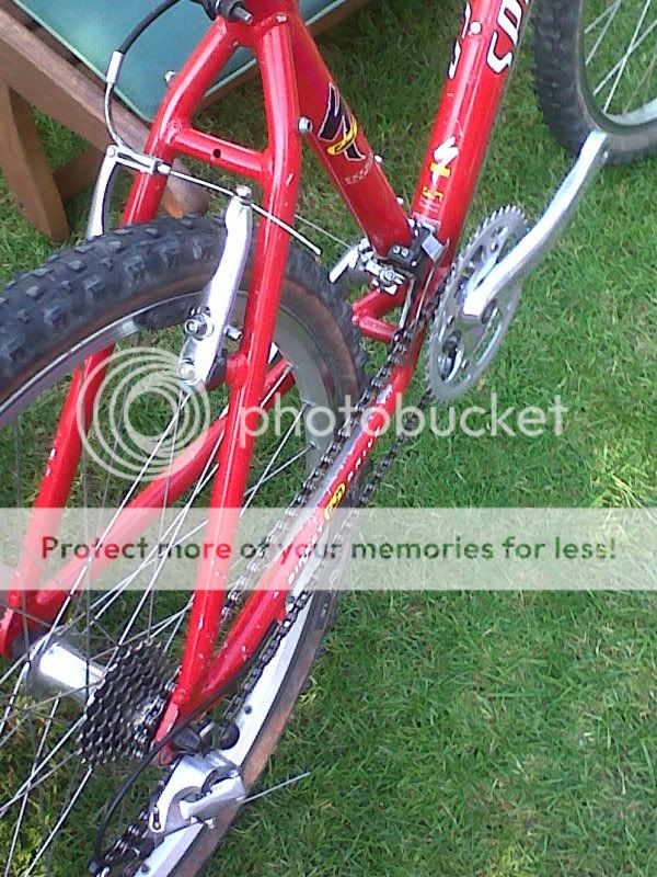 IMG00103-20110422-1740.jpg