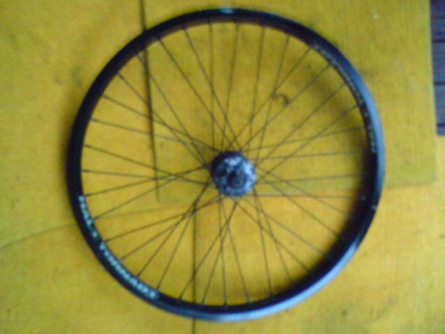 DSC01458.jpg