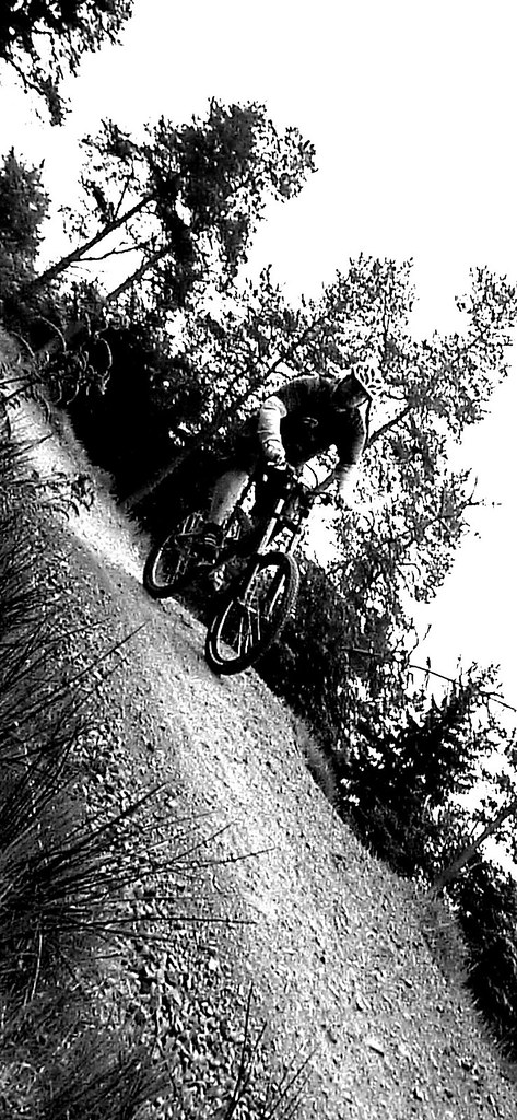 4651157660_cb359a52f6_b.jpg