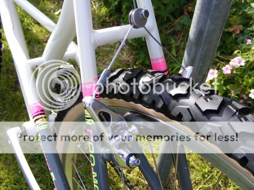 2009_0603astars0019.jpg