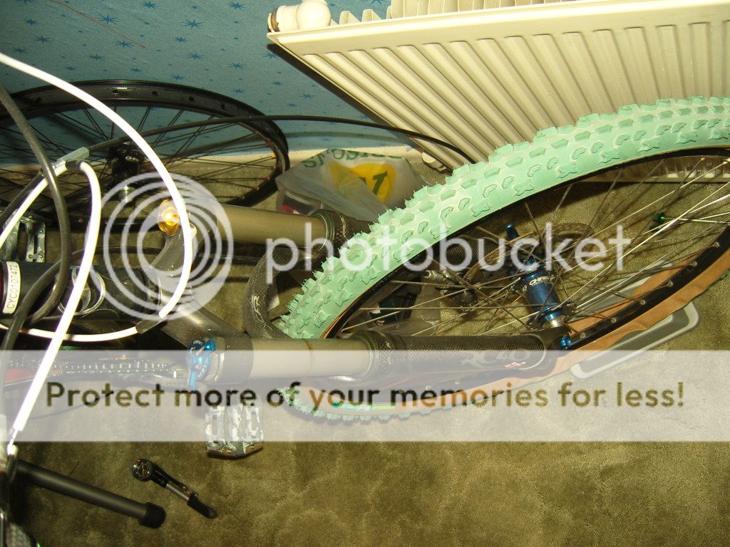 SNV80563.jpg