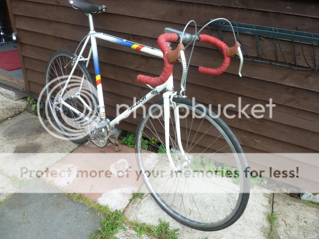 raleigh002.jpg