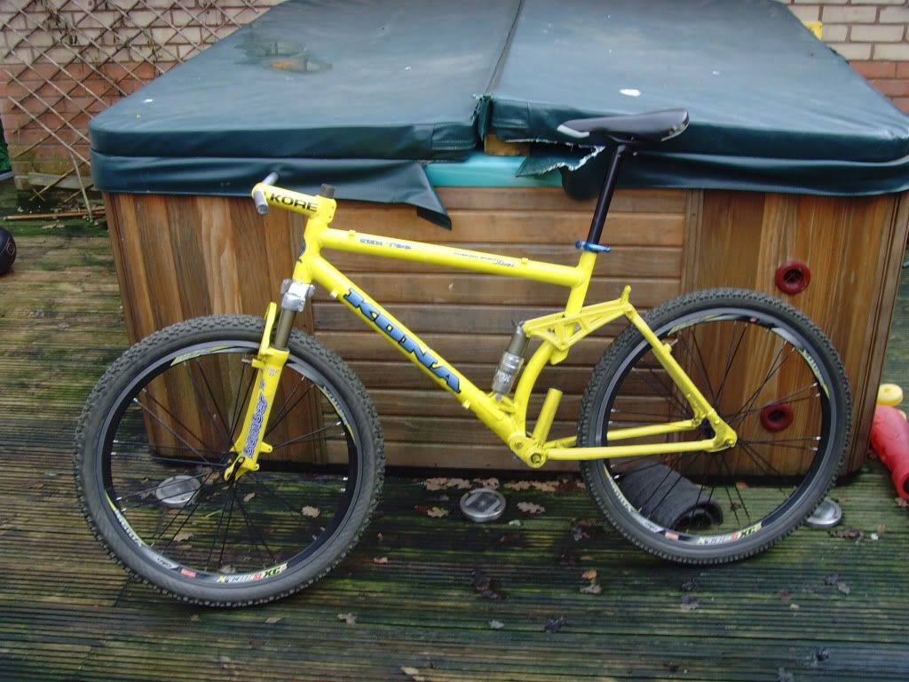 all_yellow.jpg