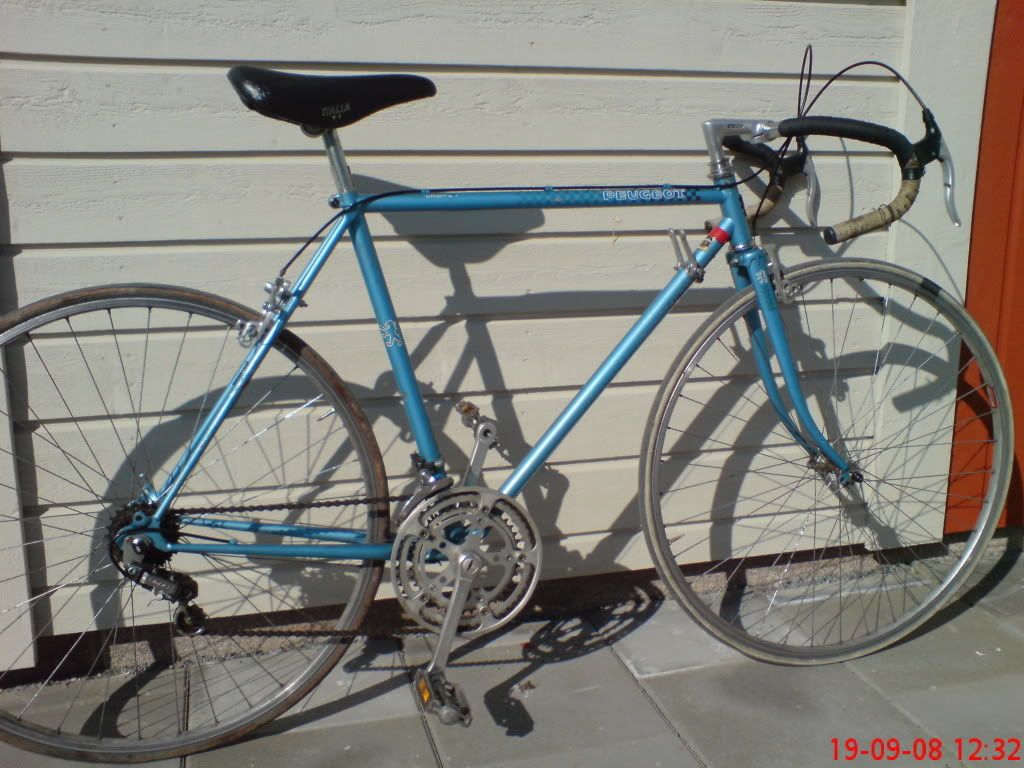 DSC00104.jpg
