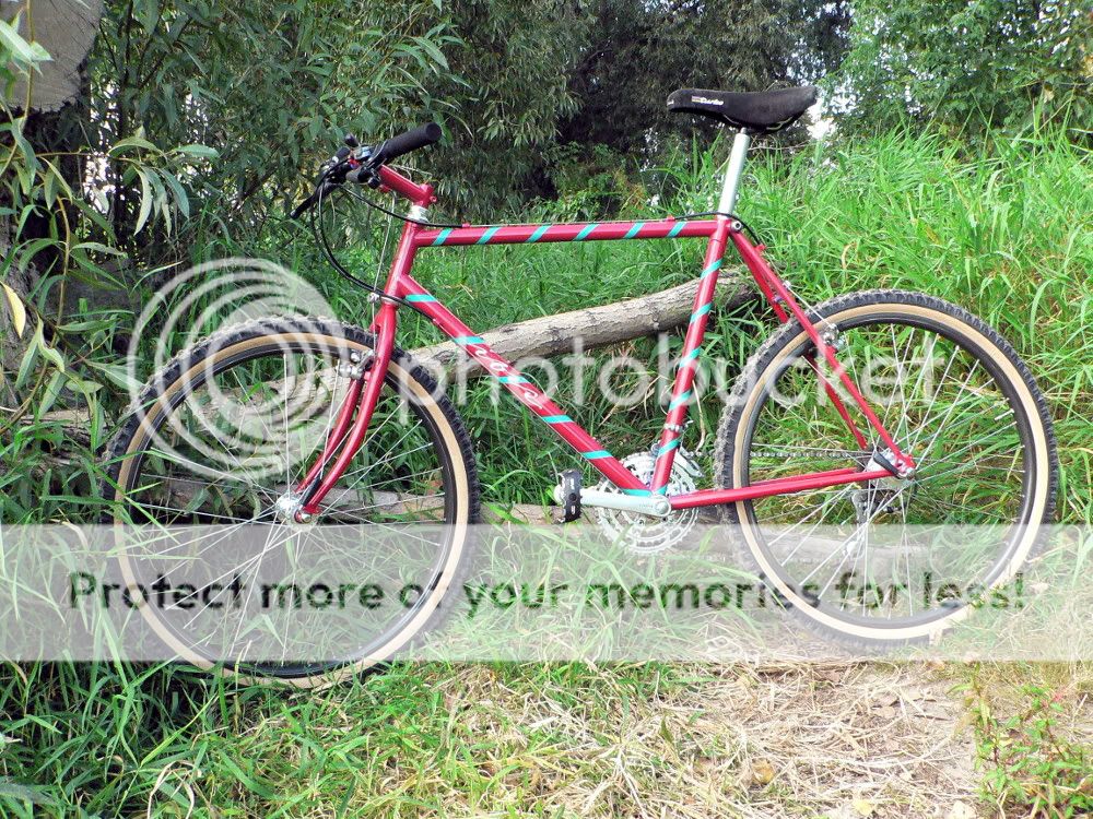 ibis1988cano52105.jpg