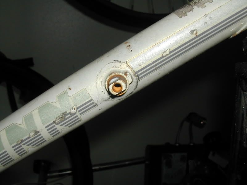 DSCN4525.jpg
