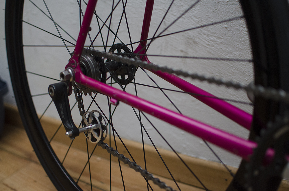 pinkboydream%20detail.jpg