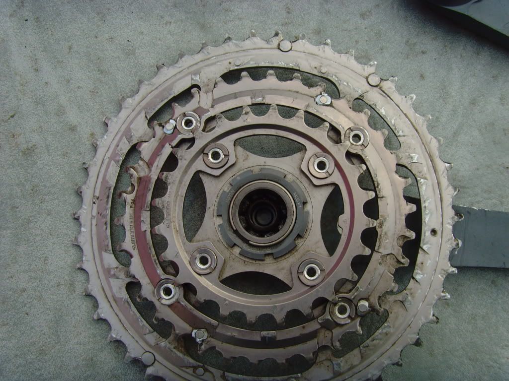 SNV36267.jpg