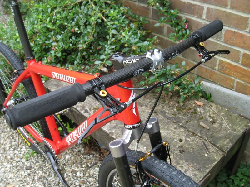 StubbsyStumpy5.jpg