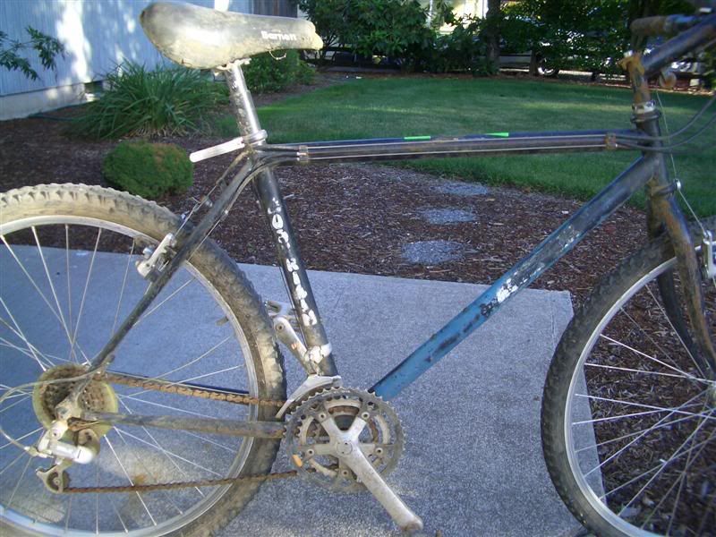 CIMG6600Medium.jpg