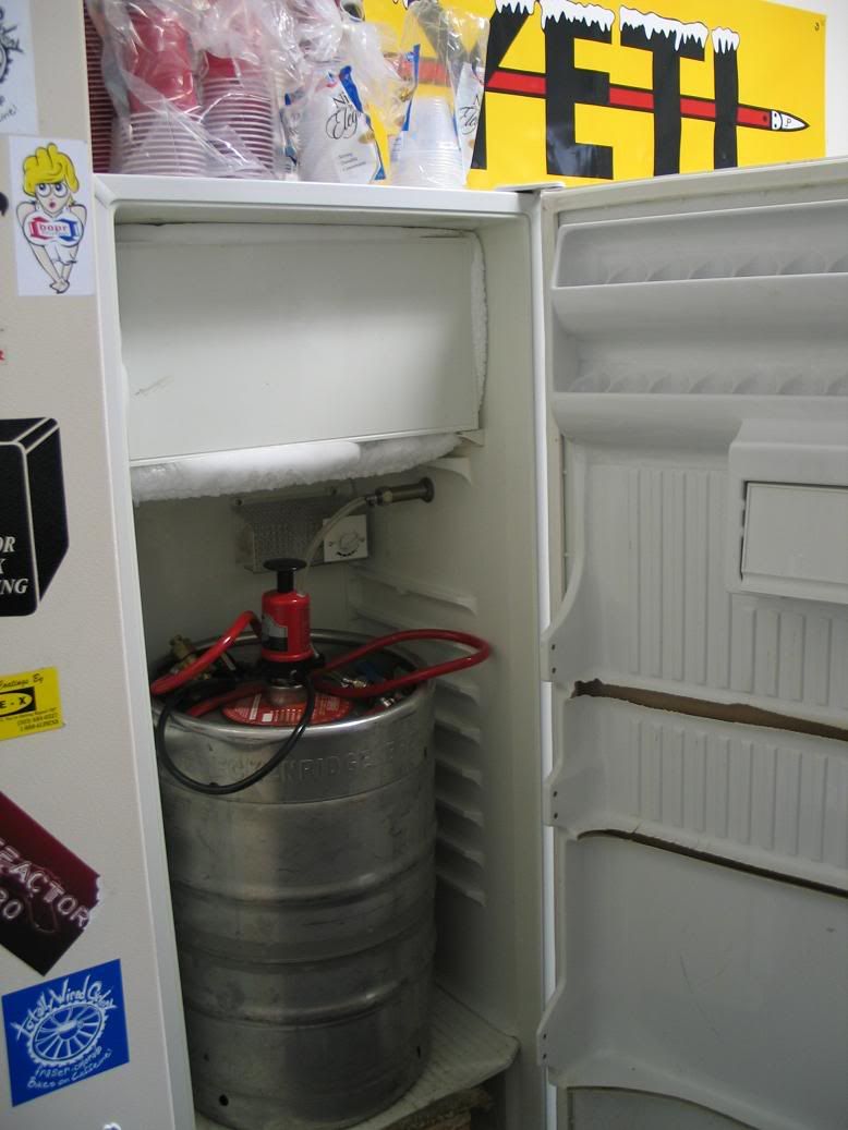 7yeti03.jpg