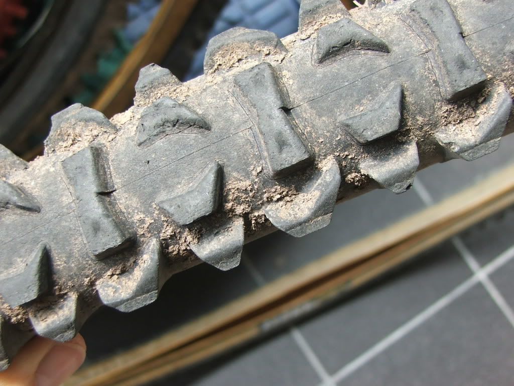 DSCF7854.jpg