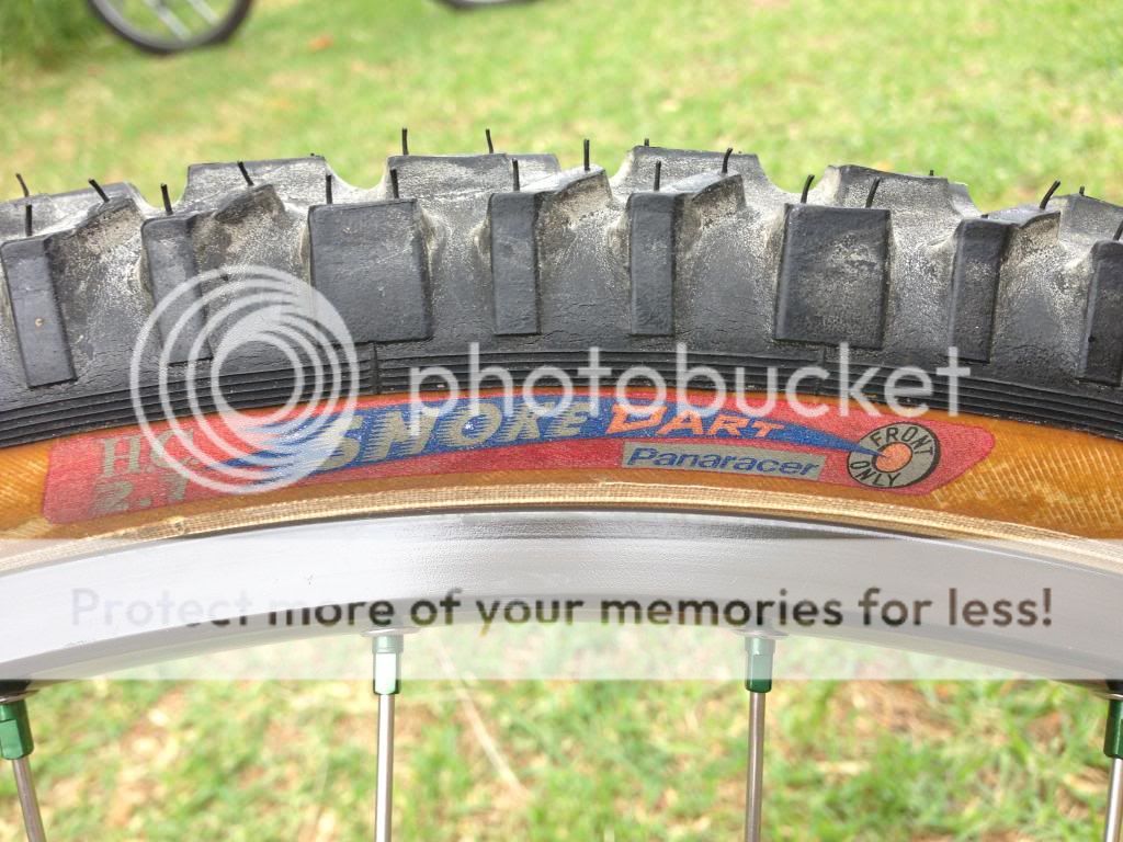 IMG_4199_zps3d339495.jpg