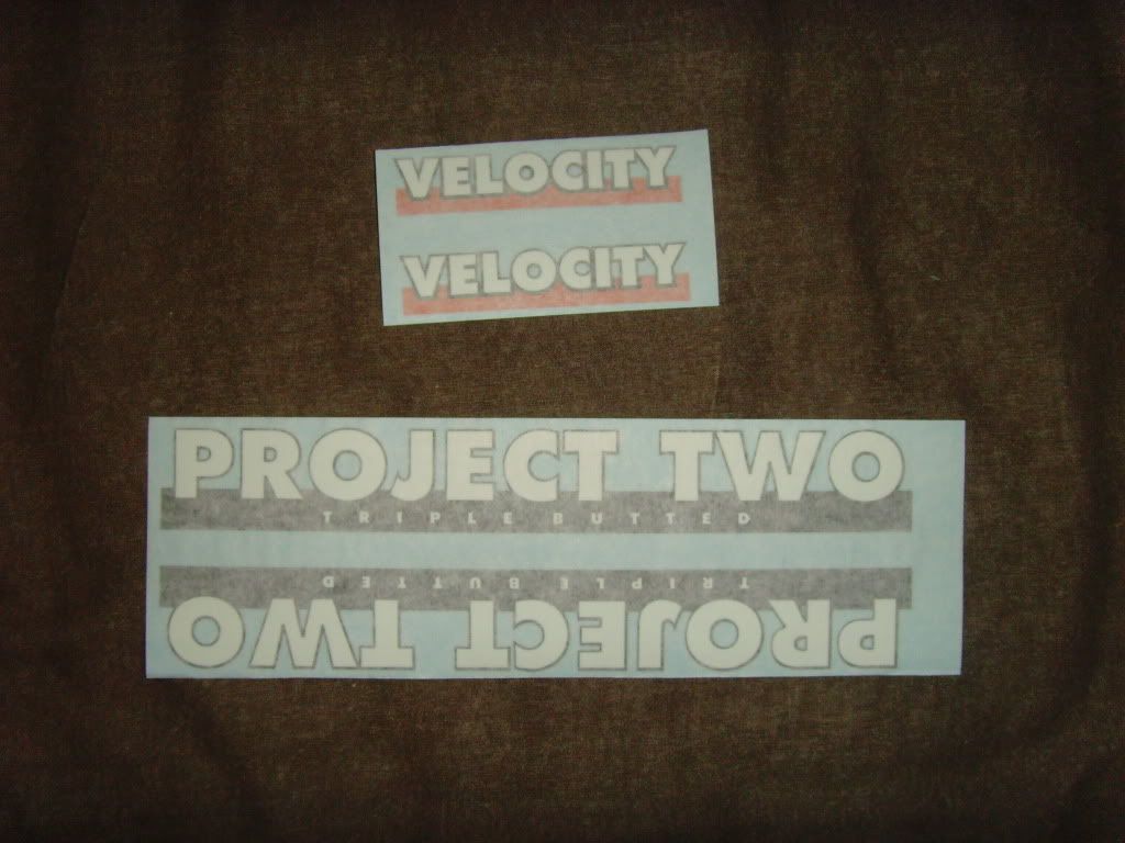SNV34588.jpg