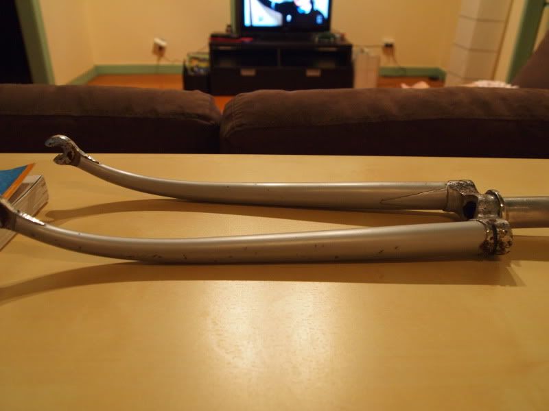 P2011843.jpg