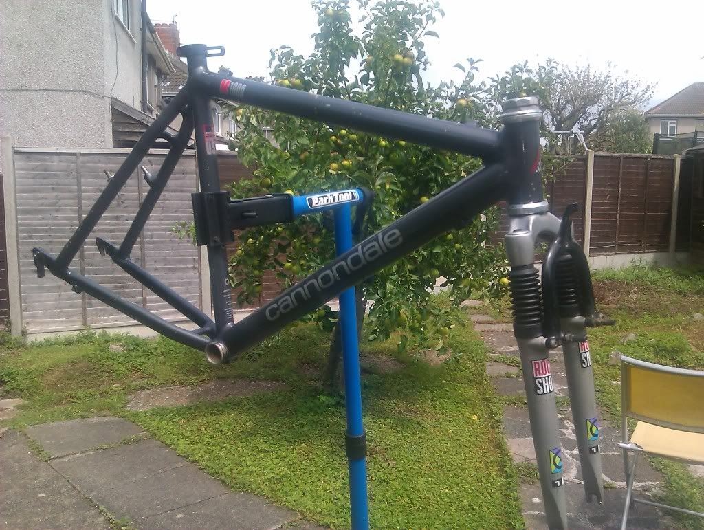 IMAG0134.jpg