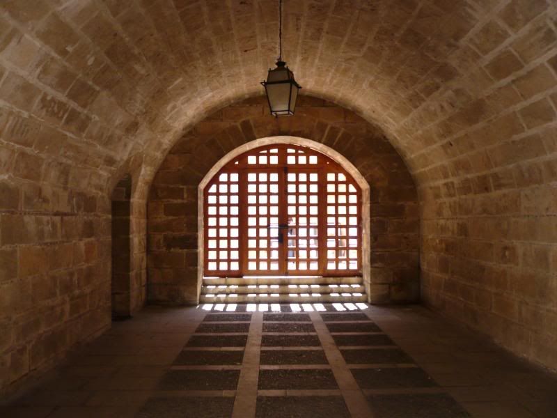 P1000464.jpg
