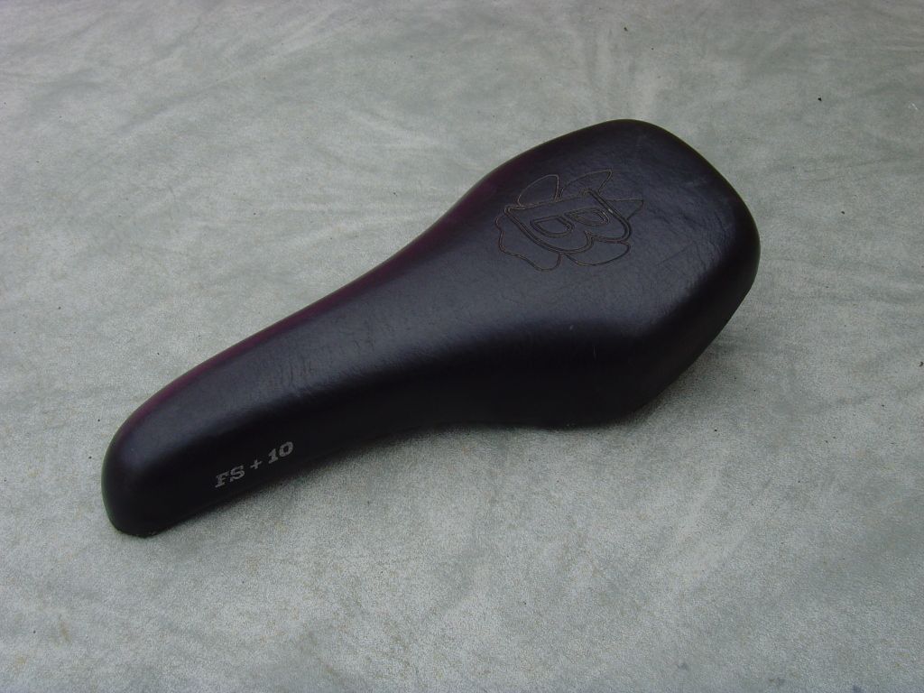 SNV36708.jpg