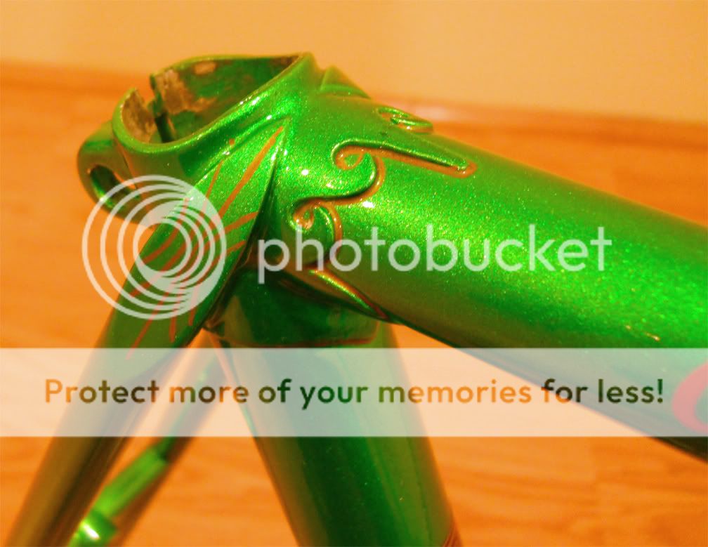 DSCN2686cut.jpg