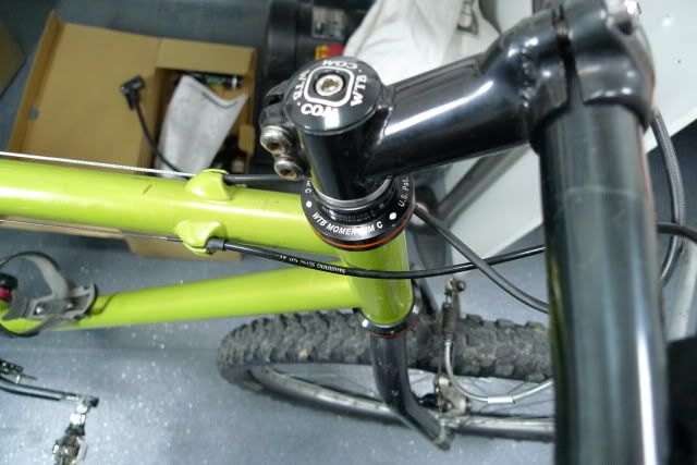 P1000283.jpg