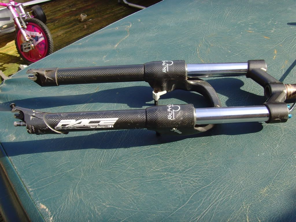 SNV35077.jpg