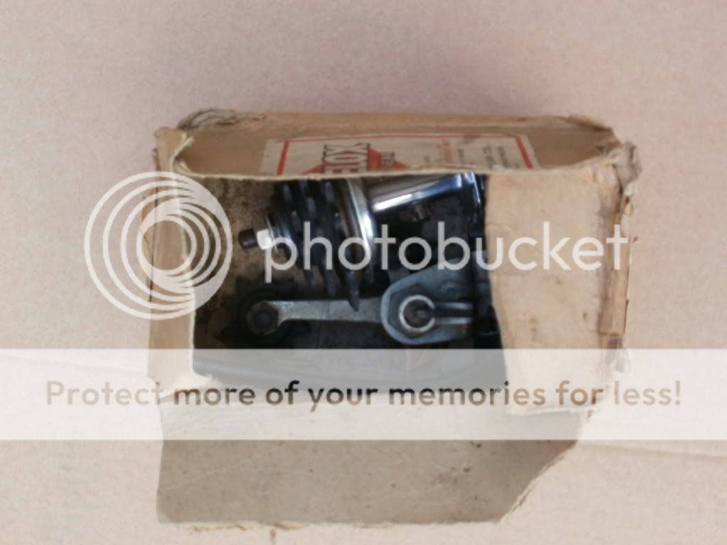 PA290963.jpg