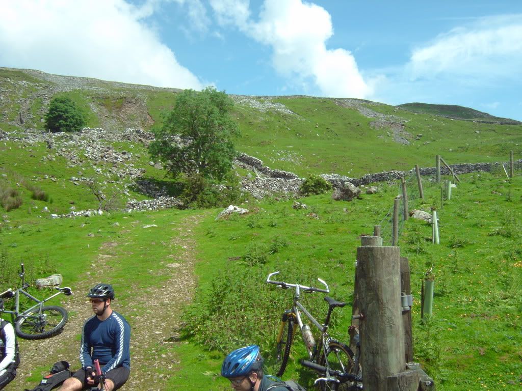 IMG00379.jpg