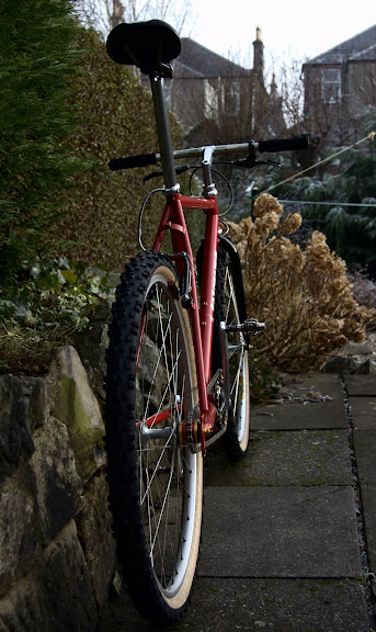 DSC_3421.NEF.jpg