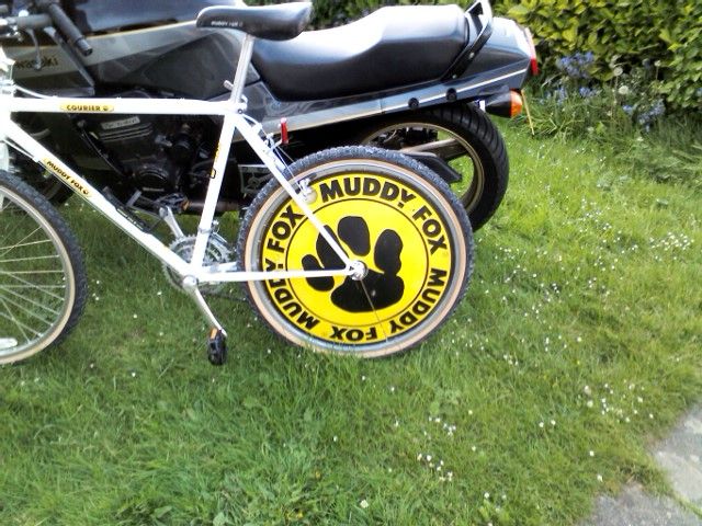 muddyfox011_zps494a65fc.jpg