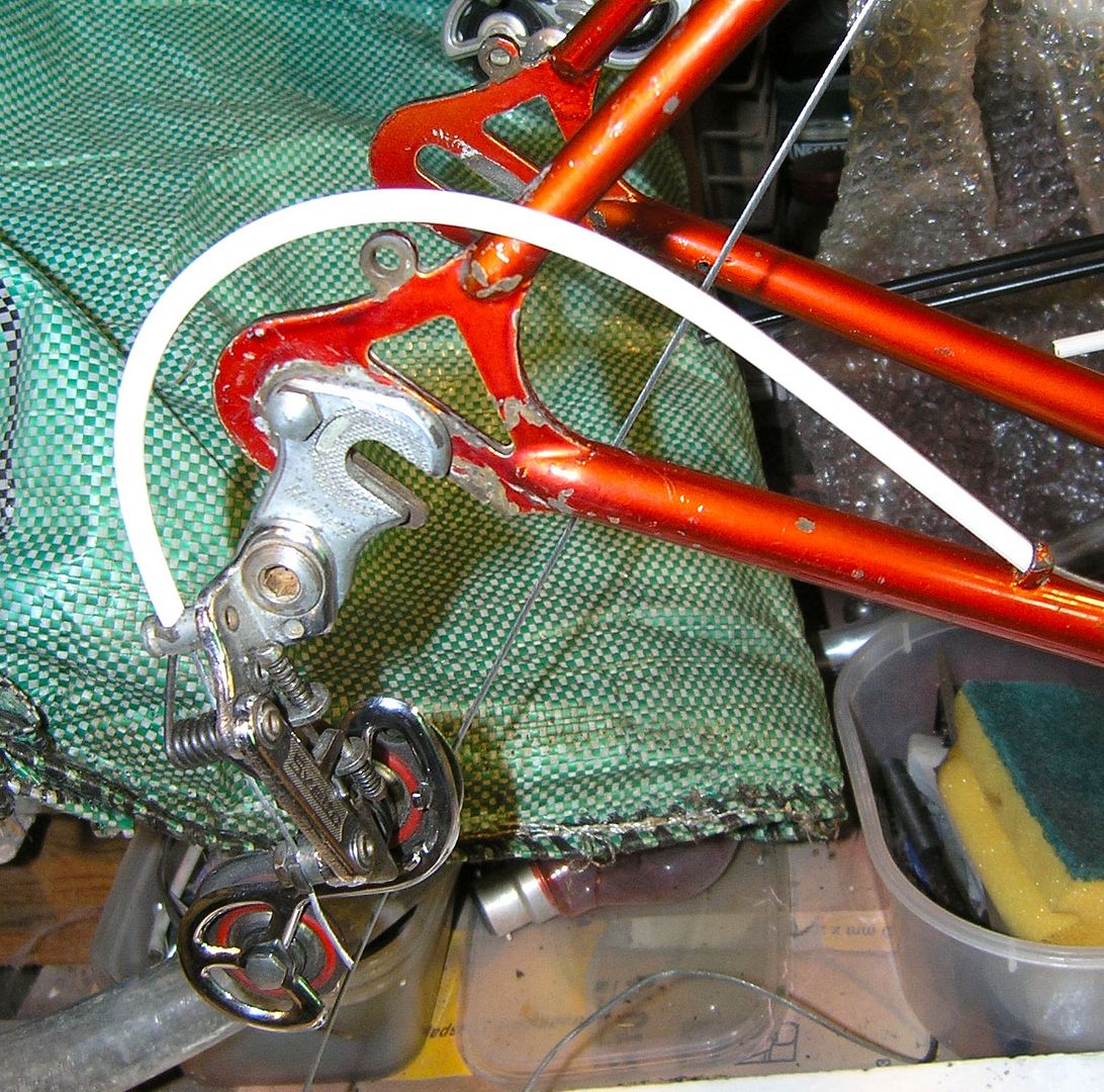 P6010458_zpsdfa59d1a.jpg