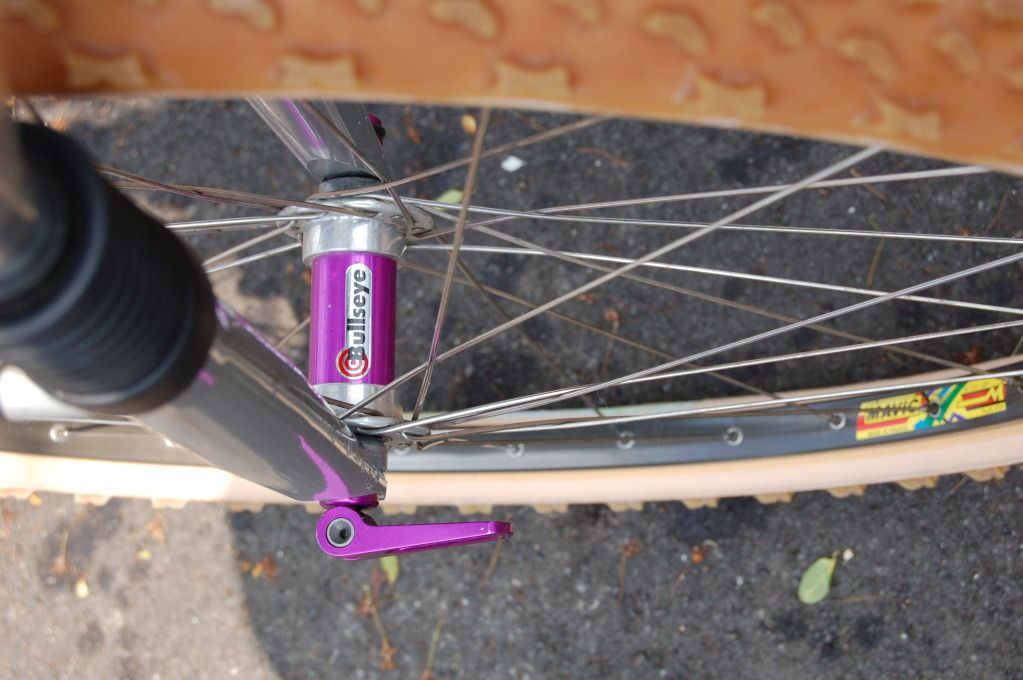 Zaskar_purp022.jpg