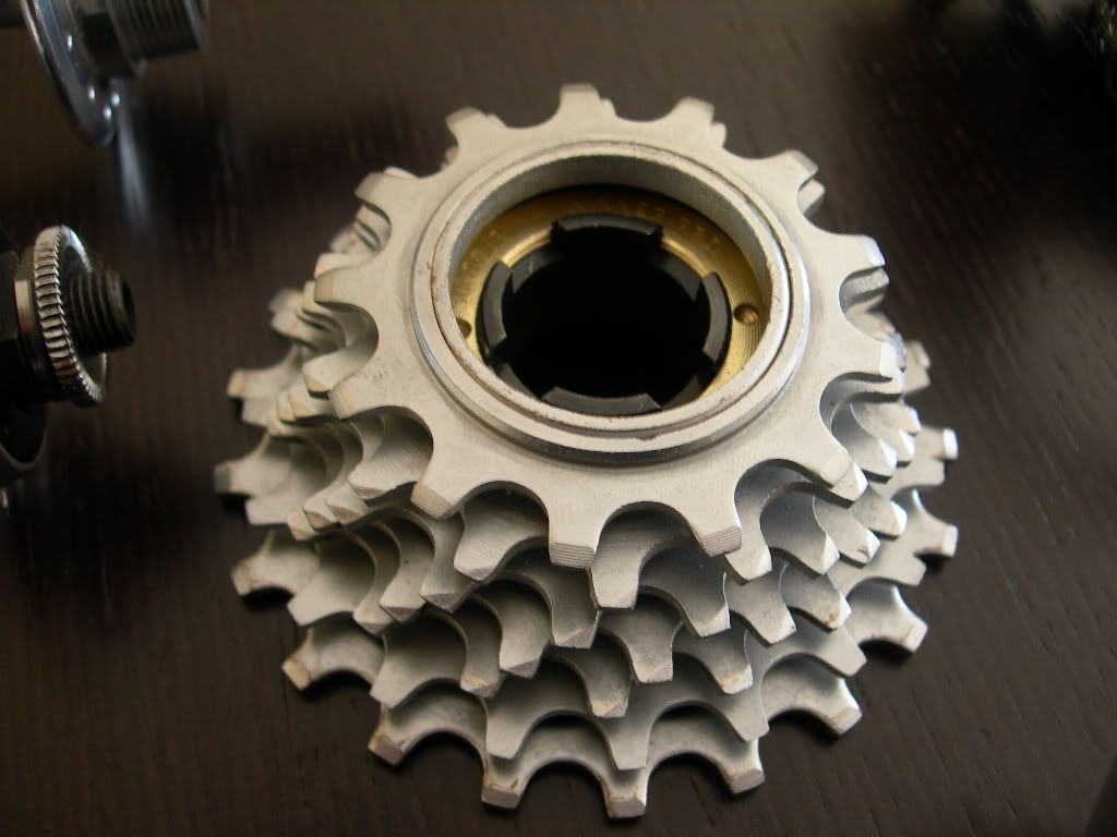 DSCN8250.jpg