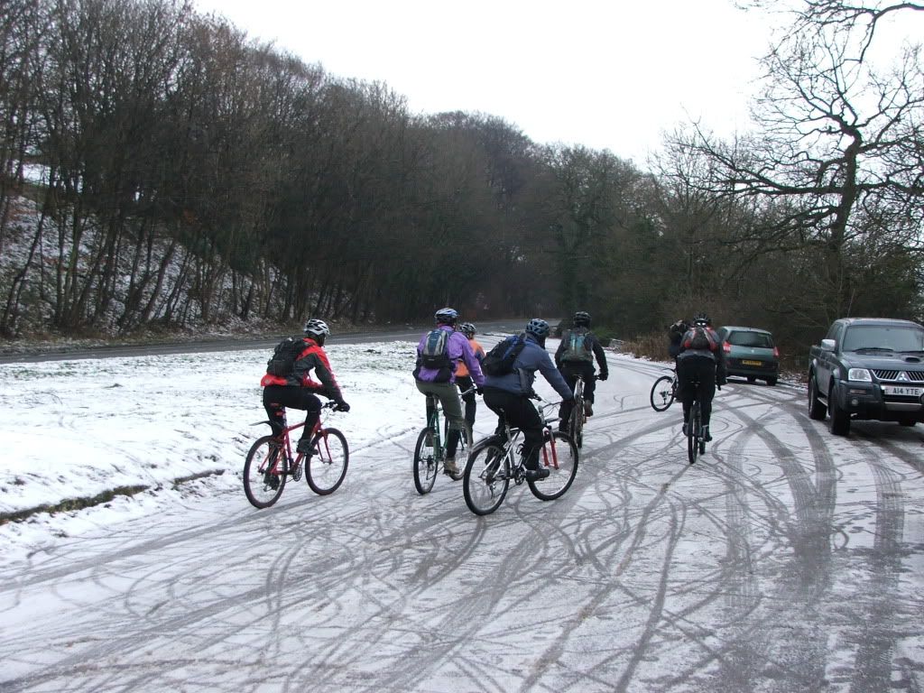 DSCF6181.jpg