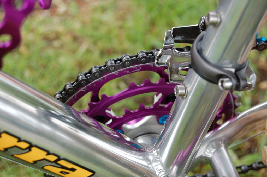 PurpleZaskar006.jpg