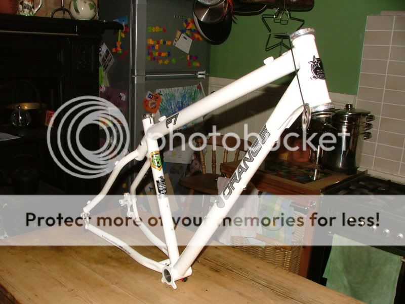 DSCF7242.jpg