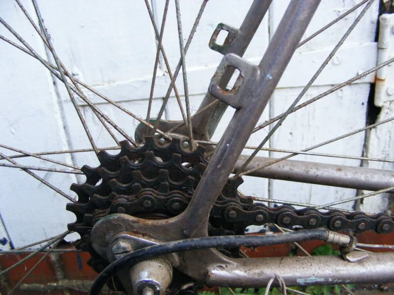 DSCF4974.jpg
