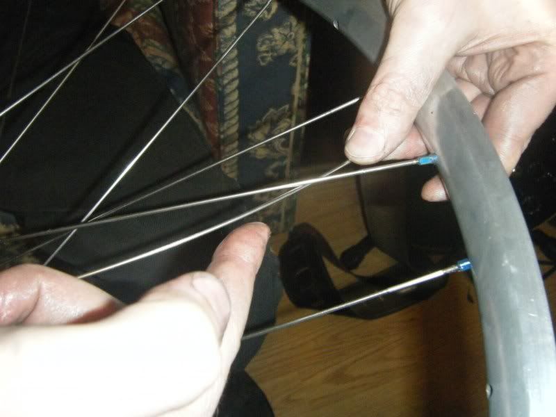 DSCF2016.jpg