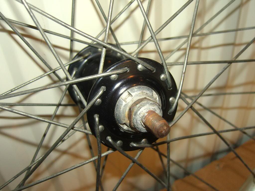 SNC10130.jpg