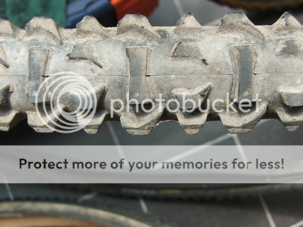 DSCF7857.jpg