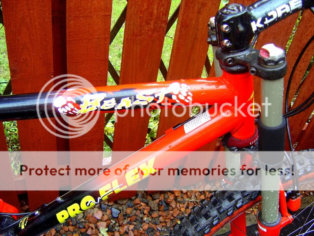 proflex2.jpg