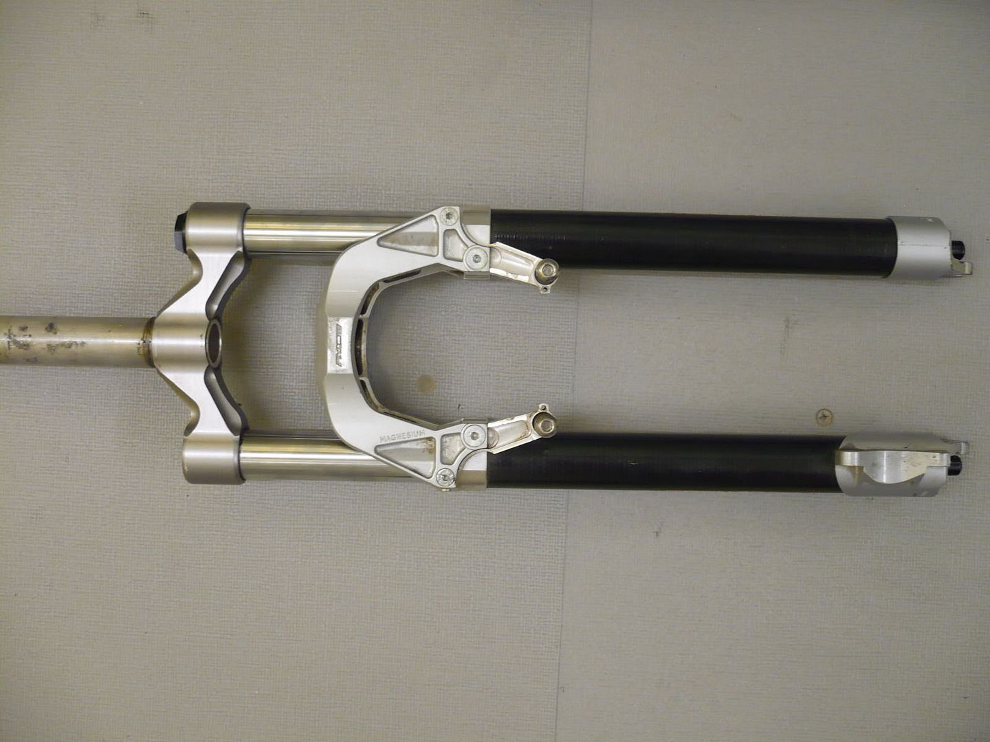 P1010332.jpg