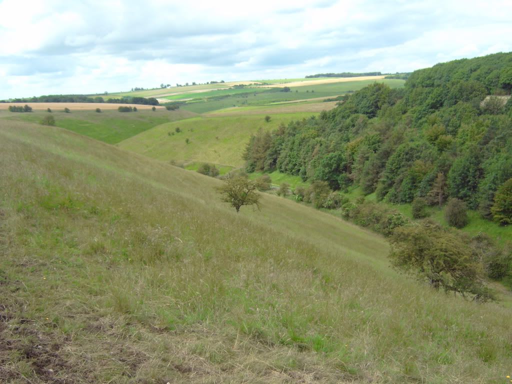 IMG00421.jpg