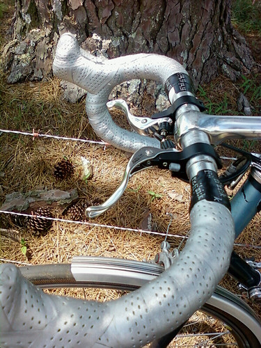 4710253368_dacf25b8c4.jpg