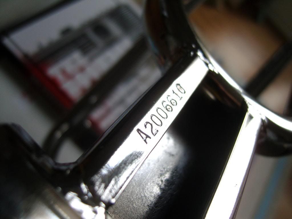 SNC17300.jpg