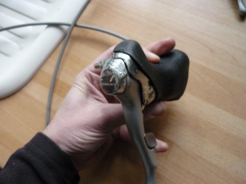 P1010204.jpg