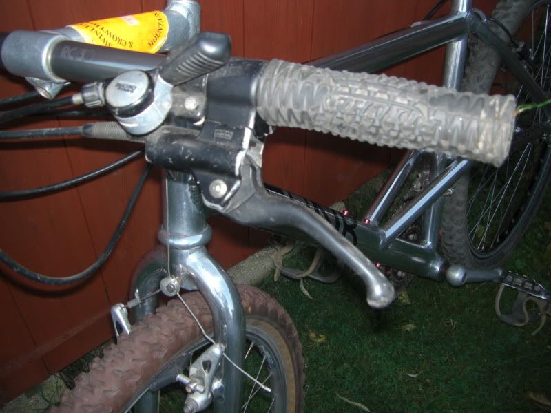 CIMG2226.jpg