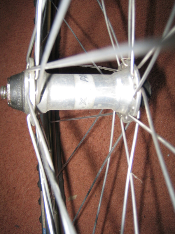 p4pb7840652.jpg