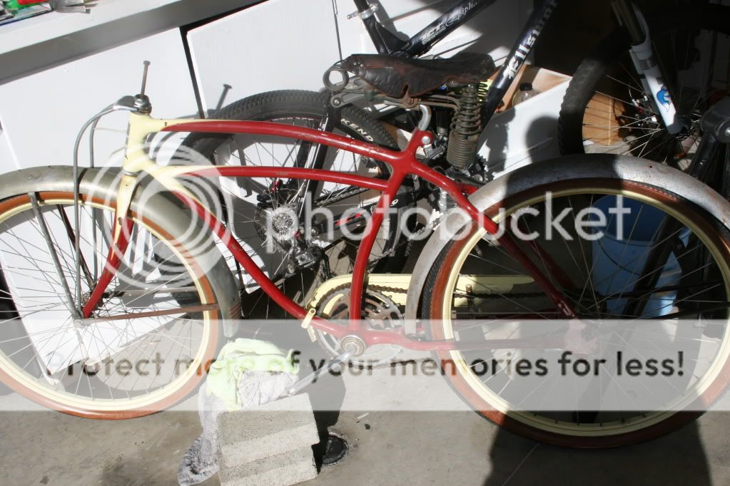 IMG_3920.jpg