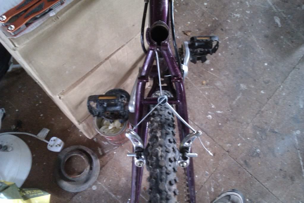 IMAG0148.jpg